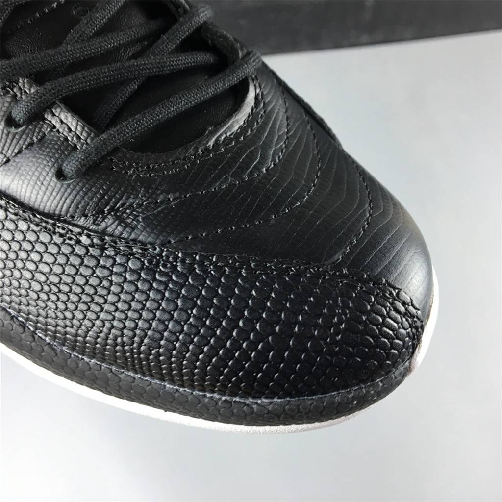 Wings Air Jordan 12 WMNS AO6068-007